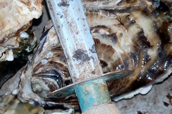 Seafood Insurance, Oyster with knife