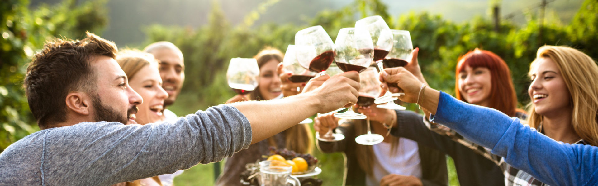 Personal umbrella insurance, group of friends toasting red wine over table outdoors in vineyard with grapevines and mountains as backdrop.