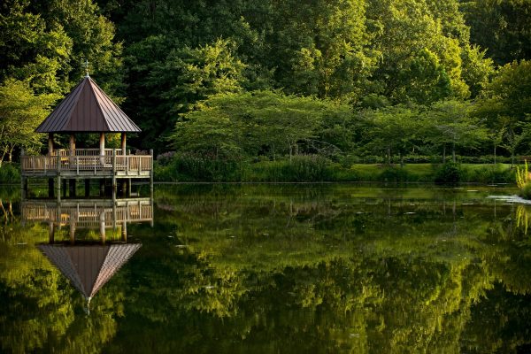 Fairfax, VA Meadowlake Botanical Gardens, lake view of gazebo over lake with reflection of lush greenery on surface.