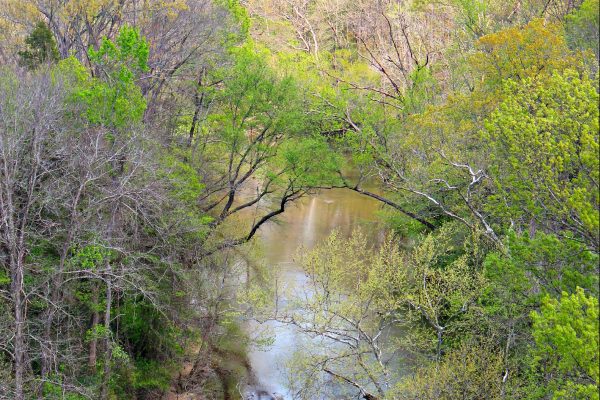 Appomattox River