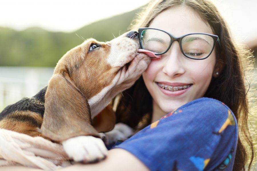Home insurance red flags, a young girl playing with her dog, licking her face.