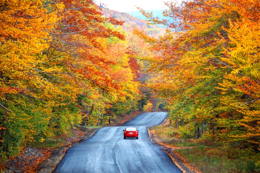 A car insurance client in a red vehicle on road flanked by autumn leaved trees in mountains.