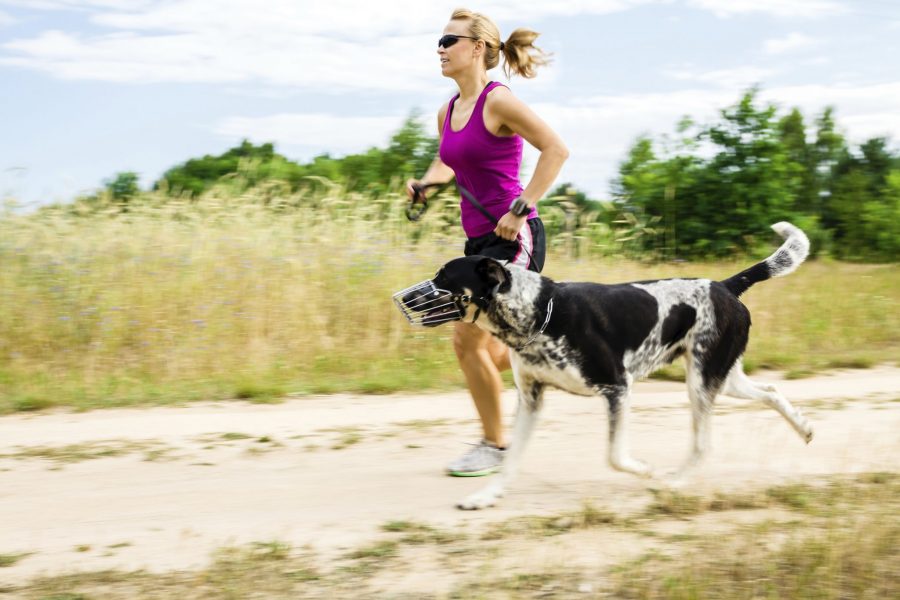 Woman running with large black and white dog.