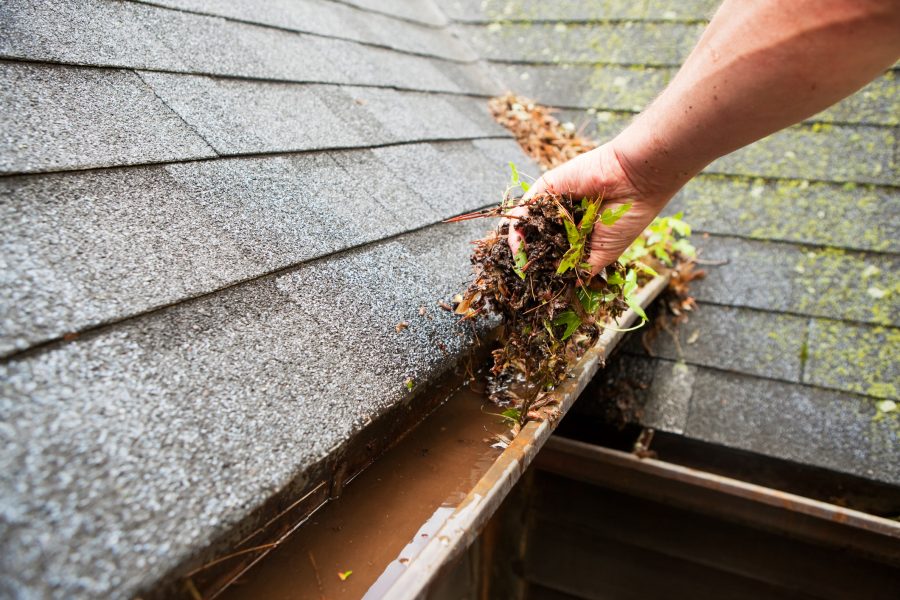 A homeowner trying to avoid a roof insurance claim by cleaning their gutters of leaves.
