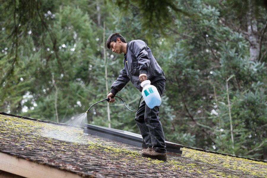 Man cleaning moss, lichen, or aglae from a roof to avoid a roof insurance claim.