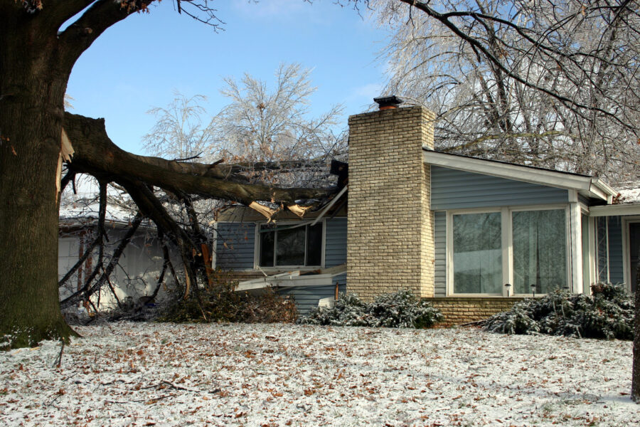 large tree branch on damaged house